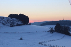 aussicht-hinterm-haus