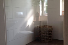 begehbare Dusche EG