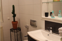 eines-der-kleinen-baeder-je-og-und-eg-mit-offener-dusche